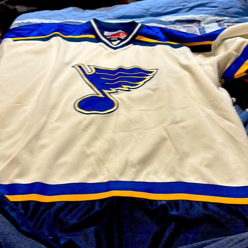 This is a hockey shirt
